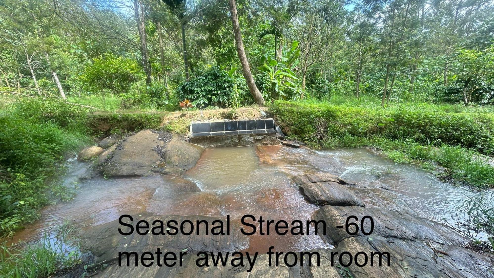 Doddakallu Betta Homestay Coorg Somvarpet Екстер'єр фото